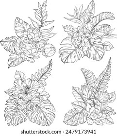 conjunto de ramos de contorno, Elementos florales aislados sobre fondo blanco. Ilustración vectorial