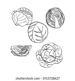 Skizze, ganz, halb, viertel einzeln auf weiß. Vektordoodle-Illustration.