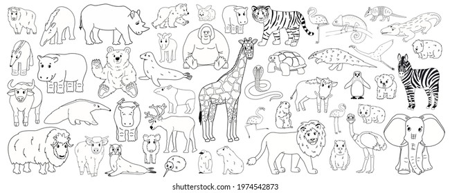 Set of outline cartoon isolated Savannah African American forest animals. Vector line tiger lion rhinoceros buffalo zebra elephant giraffe crocodile tapir hippo bear orangutan penguin flamingo