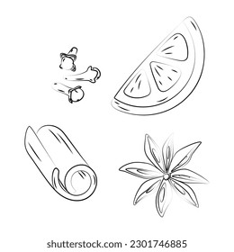 Set of outline drawing of citrus slice, glows, cinnamon and Star anise with seeds. Happy spices day