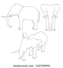 Set with the outline of an elephant. Front, side, isometric view. Vector illustration