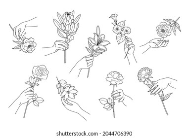 Set of outline female hands with tender flowers isolated on white. Elegant floral compositions with woman hands touching and holding blooming flowers. Monochrome line art vector illustration.