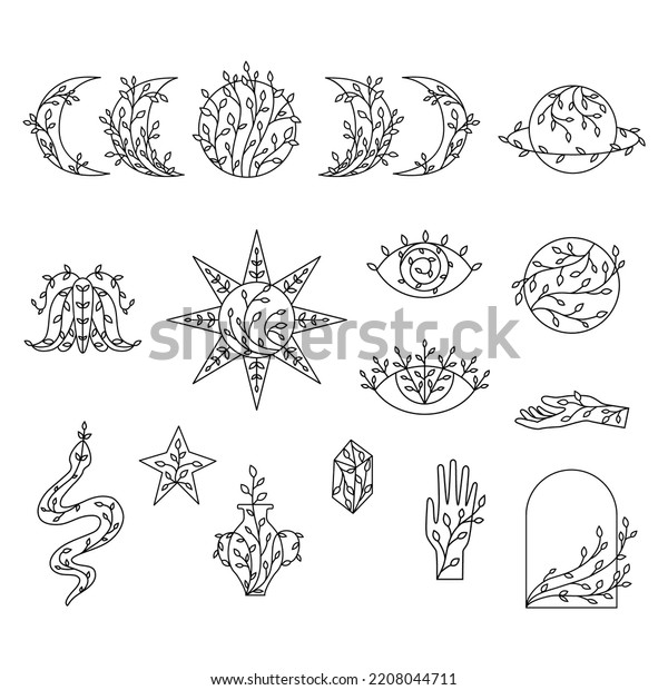 Set Outline Floral Moon Phases Sun Stock Vector (Royalty Free ...