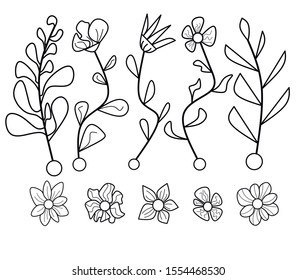 set of outline flowers and branches. black and white illustration
