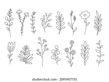 Esquema с flores, plantas y ramas. Ilustración vectorial.
