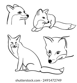 Set of outline fox portraits and sitting animals, cute predator vector illustration for creativity or design