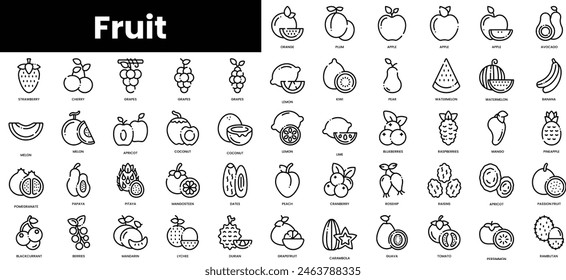 Set of outline fruit icons. Minimalist thin linear web icon set. vector illustration.