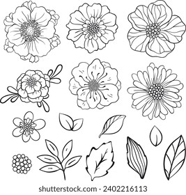 Set of outline hand draw flowers. Floral Vintage clipart. Vector illustration