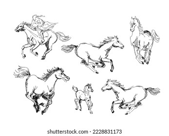 Set of outline horses ink pencil drawings on white background sketch. Vector illustration clipart