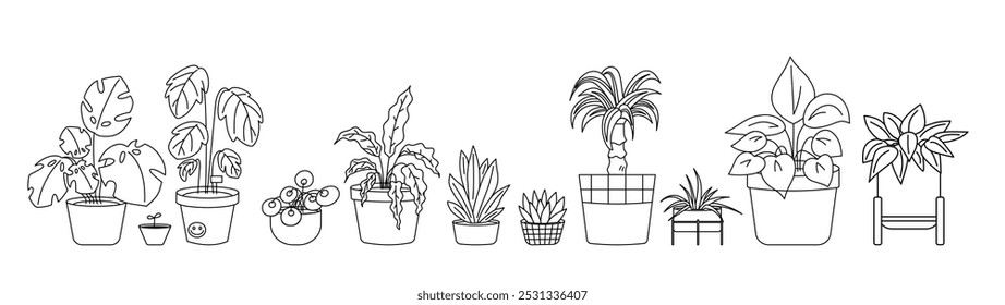 Set of outline houseplant. Contour icons plant.  