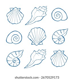 Set with outline illustration of seashells with different shape isolated on white background. Vector hand-drawn ink design with ocean elements for print, packaging, wallpaper, or wrapping paper.