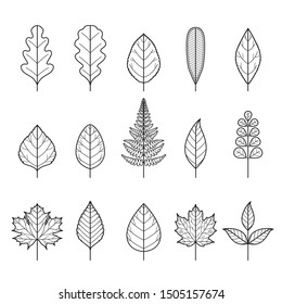 Similar Images, Stock Photos & Vectors of Plant leafs icons set ...