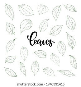 Set of Outline Leaves. Monohrome Black and White Contour Line Leaf. Hand Draw in Sketch Style. Design Elements for Greeting Cards and Invitations. Vector Illustration