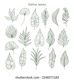 Set of outline leaves. Tropical plants. Herbarium. Perfect for herbal products designs.