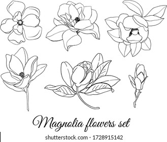 Set of outline magnolias flowers, buds and leaves	