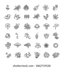 Set of Outline Natural Icons Vector Illustration