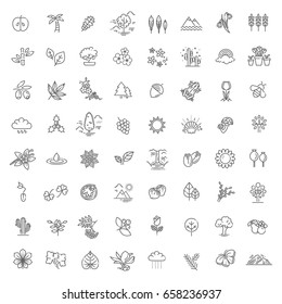 Set of Outline Natural Icons Vector Illustration