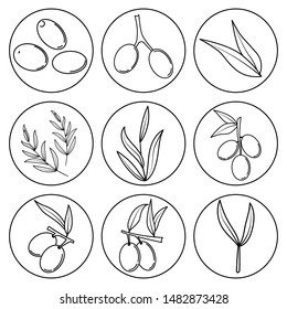 Set of outline olive icons in round frame. Vector llustration for design, web and decor for the festival of olives.
