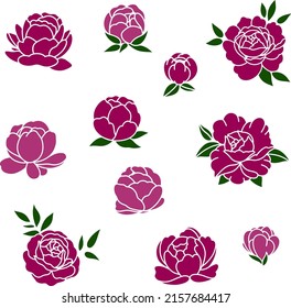 Set of outline peony flowers; vector illustration