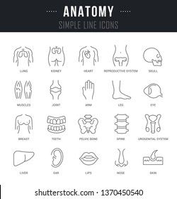Set of outline signs and symbols of anatomy with names. Collection vector thin line icons and infographics elements. Simple linear pictogram pack for web graphics and apps.