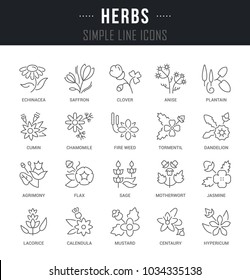 Set of outline signs and symbols of herbs with names. Collection vector thin line icons and infographics elements. Simple linear pictogram pack for web graphics and apps.