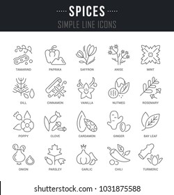 Set of outline signs and symbols of spices with names. Collection vector thin line icons and infographics elements. Simple linear pictogram pack for web graphics and apps.