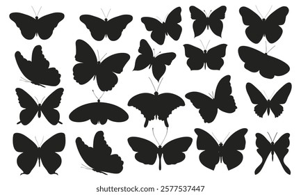 Set of outline silhouette insect butterflies Decorative design