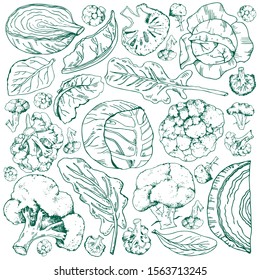 Set with outline sketch illustrations of broccoli and cabbages. Hand drawn vector outline graphic isolated on white background