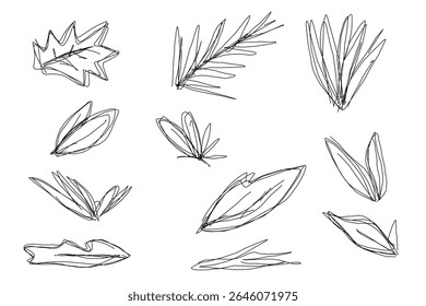 Set of outline sketch of leaves with various shape.eps