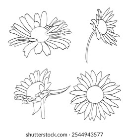 Set of outline sunflowers, perfect for nature-inspired designs, floral projects, and creative illustrations.