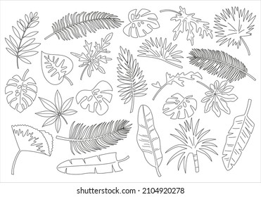 Set of outline tropical leaves and plants. Vector illustration.