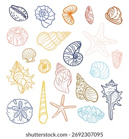 Conjunto de contorno de varias conchas históricas, corales, estrellas en colores delicados. Ilustración de contorno plano de objetos a mano. Delicado diseño de verano, pegatinas sobre el tema del mar y la playa, proyectos en la naturaleza