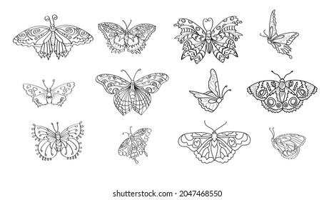 Set of outline vector butterflies - black line isolated on white background. Collection of illustrated butterflies. 