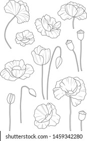 A set of outline vector illustrations of poppies on a white background.