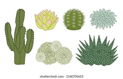 Set of outline vector illustrations of several varieties of succulents and cacti seen in profile.