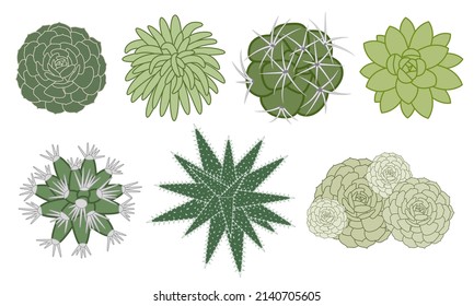 Set of outline vector illustrations of various succulents and cacti top view.