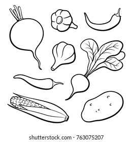 Set of outline vector vegetables. Beetroot, garlic, chili pepper, radish, corn, potato, turnip. Black and white vector illustration