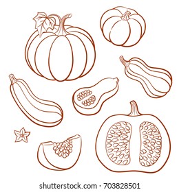 Set of outline vector vegetables. Pumpkins, butternut squash, vegetable marrow; zucchini. Whole fruits with leaves and flowers and slices with seeds