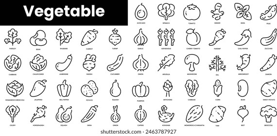 Conjunto de iconos de vegetales de contorno. Conjunto de iconos de Web lineal fino minimalista. Ilustración vectorial.