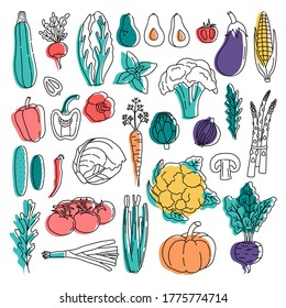 Set of outline vegetables in doodle style with colorful spot on the white background. Bundle of hand drawn fresh vegetarian food. Simple art objects. Vector illustration, isolated. 