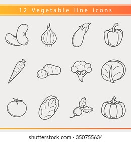 Set of outline vegetables icons. Onion, Tomato, Potato, Cabbage, Carrot, Eggplant, Chinese cabbage, Radish, Pumpkin, Broccoli, Bean, Pepper. Modern thin line design, light background.
