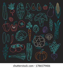 Set of outline vegetables on the black background in doodle style. Bundle of hand drawn fresh vegetarian food, with colorful contour. Simple art objects. Vector illustration, isolated. 