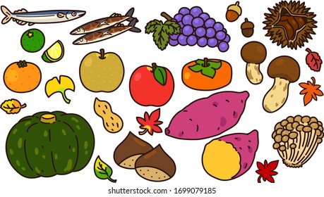 Set of outlined autumn food illustrations