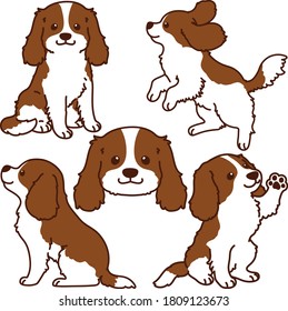 Set of outlined Brown Cavalier King Charles Spaniel illustrations