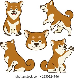 Set of outlined cute brown Shiba Inu illustrations 