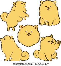 Set of outlined light brown Pomeranian illustrations