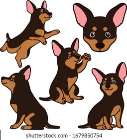 Set of outlined Miniature Pinscher illustrations