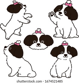 Set of outlined Shih Tzu illustrations