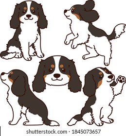 Set of outlined tricolor Cavalier King Charles Spaniel illustrations