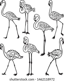 A set of outlines of cartoon flamingos